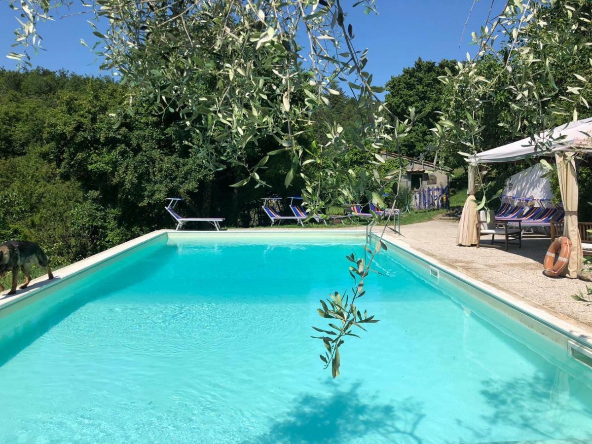Ala Di Maniero In Agriturismo Valdrago In Toscana, Nel Verde Mugello Sulle Colline Di Firenze Autodromo Mugello Circuit Borgo San Lorenzo Zewnętrze zdjęcie