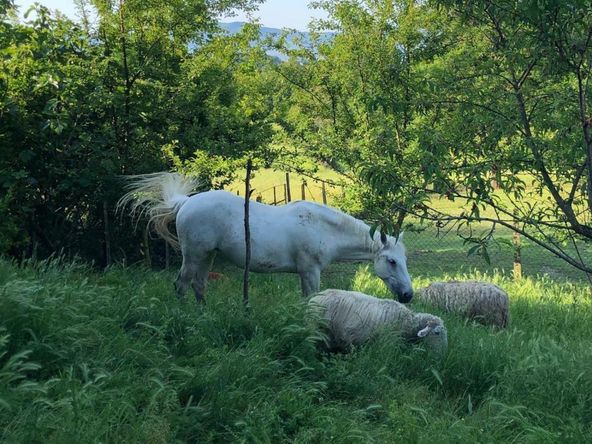 Ala Di Maniero In Agriturismo Valdrago In Toscana, Nel Verde Mugello Sulle Colline Di Firenze Borgo San Lorenzo Zewnętrze zdjęcie